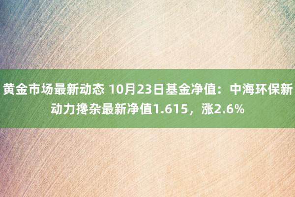 黄金市场最新动态 10月23日基金净值：中海环保新动力搀杂最新净值1.615，涨2.6%