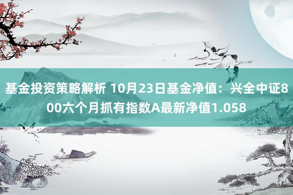 基金投资策略解析 10月23日基金净值：兴全中证800六个月抓有指数A最新净值1.058