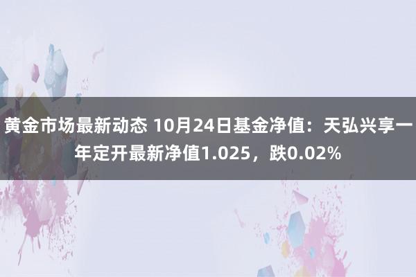 黄金市场最新动态 10月24日基金净值：天弘兴享一年定开最新净值1.025，跌0.02%