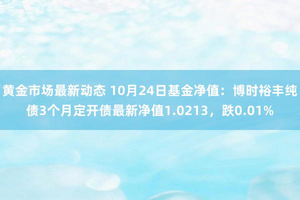 黄金市场最新动态 10月24日基金净值：博时裕丰纯债3个月定开债最新净值1.0213，跌0.01%