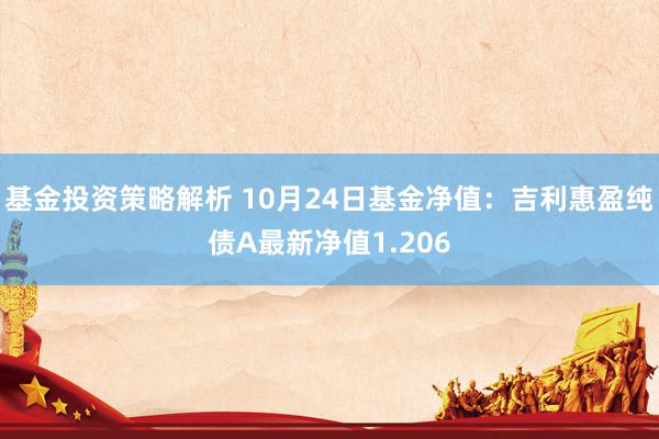 基金投资策略解析 10月24日基金净值：吉利惠盈纯债A最新净值1.206