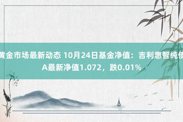 黄金市场最新动态 10月24日基金净值：吉利惠智纯债A最新净值1.072，跌0.01%