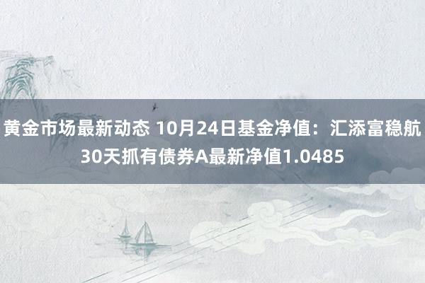 黄金市场最新动态 10月24日基金净值：汇添富稳航30天抓有债券A最新净值1.0485