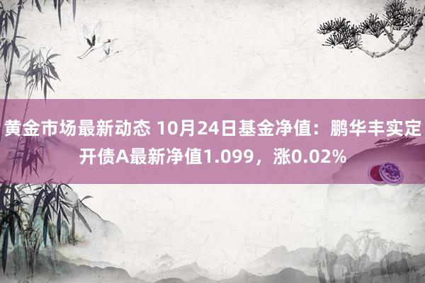 黄金市场最新动态 10月24日基金净值：鹏华丰实定开债A最新净值1.099，涨0.02%