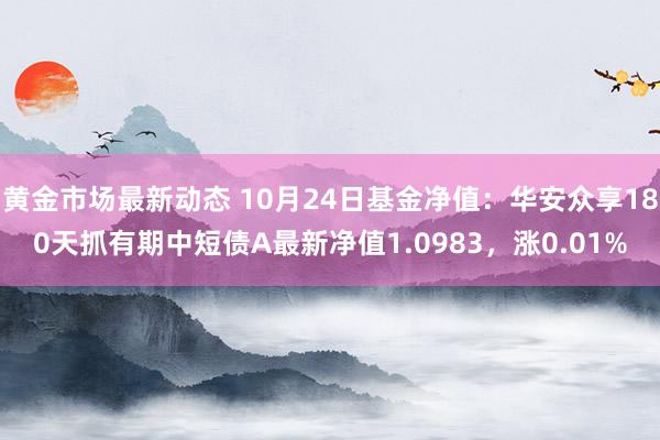 黄金市场最新动态 10月24日基金净值：华安众享180天抓有期中短债A最新净值1.0983，涨0.01%