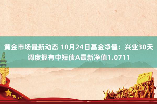 黄金市场最新动态 10月24日基金净值：兴业30天调度握有中短债A最新净值1.0711