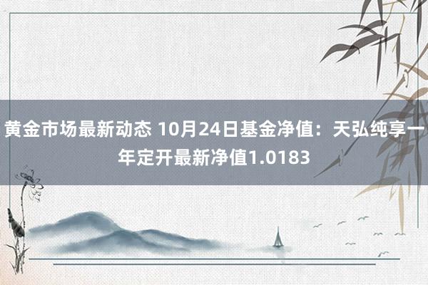 黄金市场最新动态 10月24日基金净值：天弘纯享一年定开最新净值1.0183