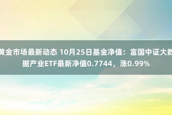 黄金市场最新动态 10月25日基金净值：富国中证大数据产业ETF最新净值0.7744，涨0.99%