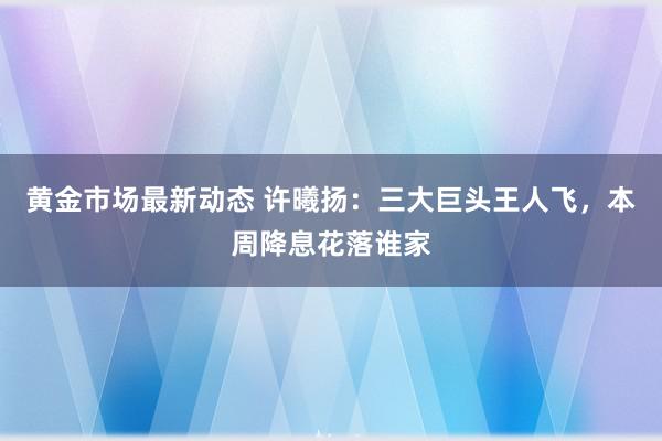 黄金市场最新动态 许曦扬：三大巨头王人飞，本周降息花落谁家