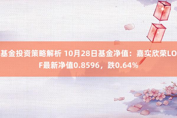 基金投资策略解析 10月28日基金净值：嘉实欣荣LOF最新净值0.8596，跌0.64%