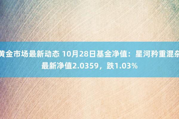 黄金市场最新动态 10月28日基金净值：星河矜重混杂最新净值2.0359，跌1.03%