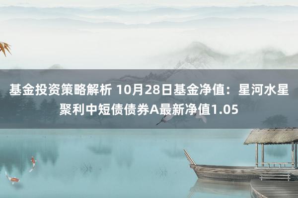 基金投资策略解析 10月28日基金净值：星河水星聚利中短债债券A最新净值1.05