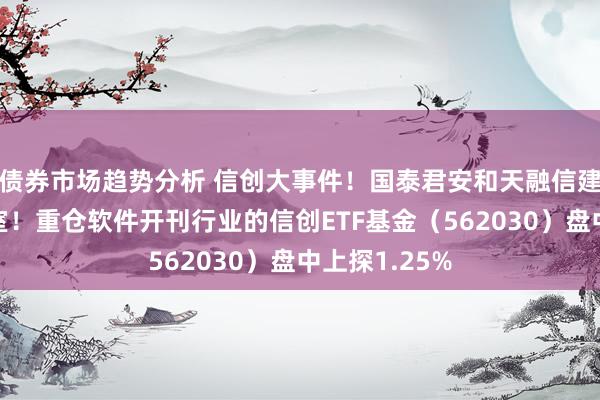 债券市场趋势分析 信创大事件！国泰君安和天融信建筑聚会履行室！重仓软件开刊行业的信创ETF基金（562030）盘中上探1.25%