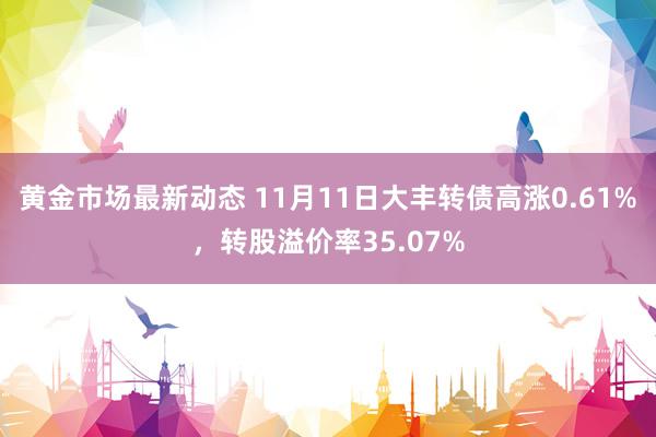 黄金市场最新动态 11月11日大丰转债高涨0.61%，转股溢价率35.07%