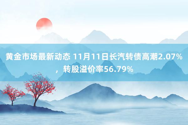 黄金市场最新动态 11月11日长汽转债高潮2.07%，转股溢价率56.79%