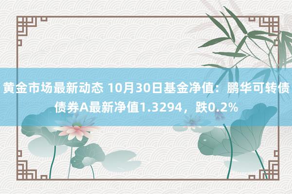 黄金市场最新动态 10月30日基金净值：鹏华可转债债券A最新净值1.3294，跌0.2%