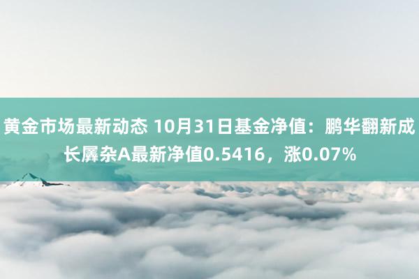 黄金市场最新动态 10月31日基金净值：鹏华翻新成长羼杂A最新净值0.5416，涨0.07%