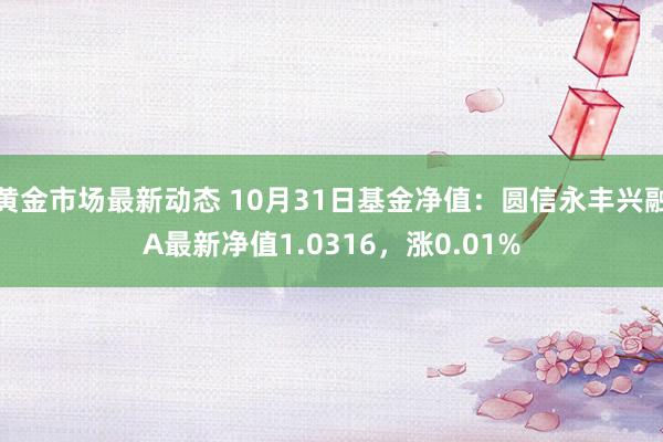 黄金市场最新动态 10月31日基金净值：圆信永丰兴融A最新净值1.0316，涨0.01%