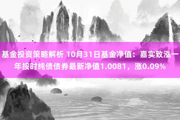 基金投资策略解析 10月31日基金净值：嘉实致泓一年按时纯债债券最新净值1.0081，涨0.09%