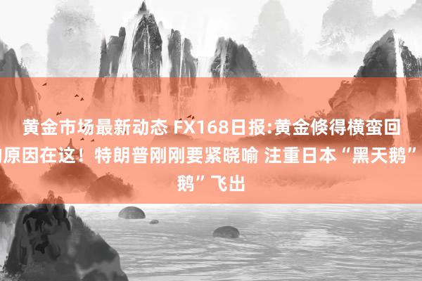 黄金市场最新动态 FX168日报:黄金倏得横蛮回调的原因在这！特朗普刚刚要紧晓喻 注重日本“黑天鹅”飞出