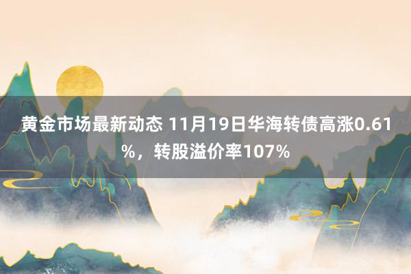 黄金市场最新动态 11月19日华海转债高涨0.61%，转股溢价率107%