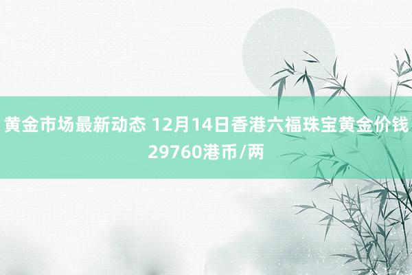 黄金市场最新动态 12月14日香港六福珠宝黄金价钱29760港币/两