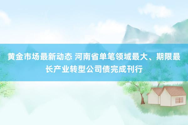 黄金市场最新动态 河南省单笔领域最大、期限最长产业转型公司债完成刊行