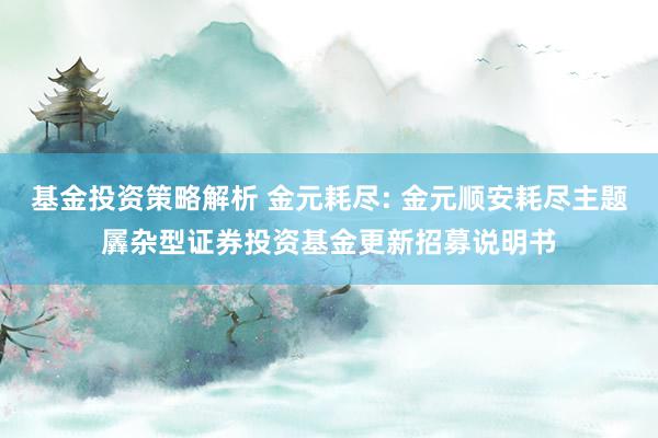 基金投资策略解析 金元耗尽: 金元顺安耗尽主题羼杂型证券投资基金更新招募说明书