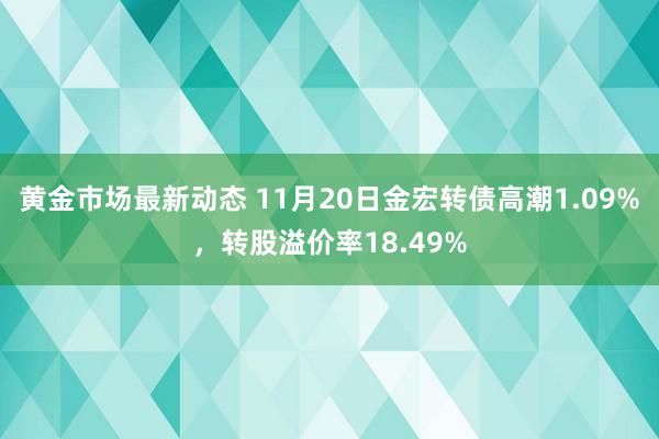 黄金市场最新动态 11月20日金宏转债高潮1.09%，转股溢价率18.49%