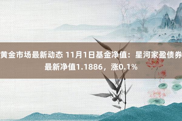 黄金市场最新动态 11月1日基金净值：星河家盈债券最新净值1.1886，涨0.1%