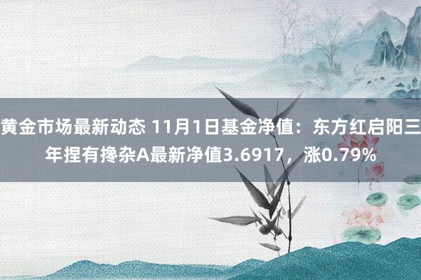 黄金市场最新动态 11月1日基金净值：东方红启阳三年捏有搀杂A最新净值3.6917，涨0.79%