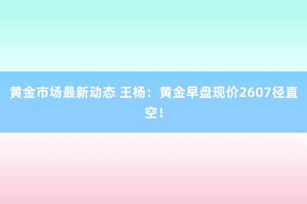 黄金市场最新动态 王杨：黄金早盘现价2607径直空！