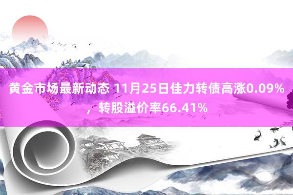 黄金市场最新动态 11月25日佳力转债高涨0.09%，转股溢价率66.41%