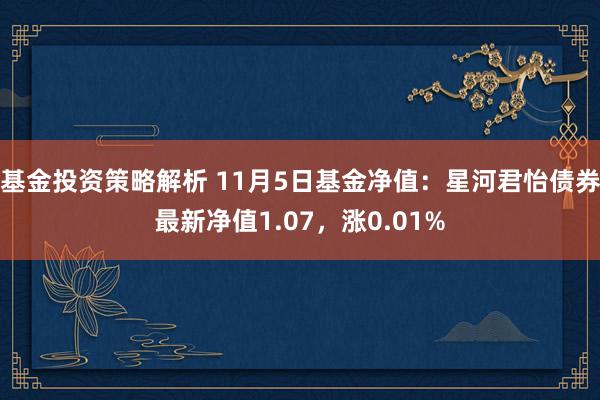 基金投资策略解析 11月5日基金净值：星河君怡债券最新净值1.07，涨0.01%