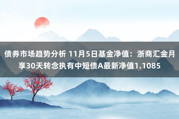 债券市场趋势分析 11月5日基金净值：浙商汇金月享30天转念执有中短债A最新净值1.1085