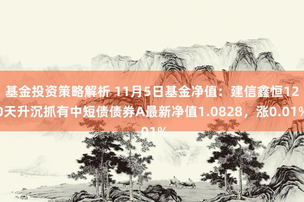 基金投资策略解析 11月5日基金净值：建信鑫恒120天升沉抓有中短债债券A最新净值1.0828，涨0.01%