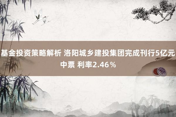 基金投资策略解析 洛阳城乡建投集团完成刊行5亿元中票 利率2.46％