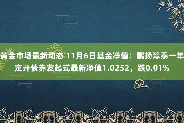 黄金市场最新动态 11月6日基金净值：鹏扬淳泰一年定开债券发起式最新净值1.0252，跌0.01%