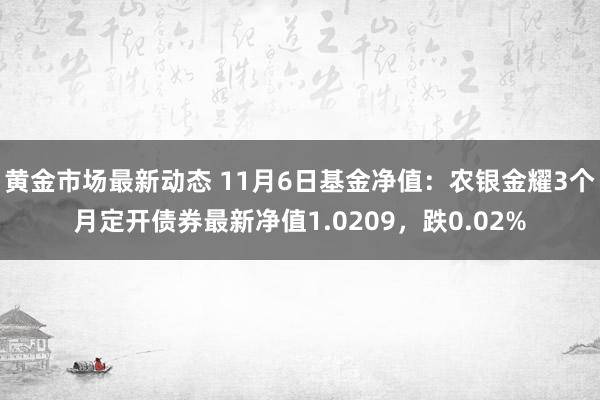 黄金市场最新动态 11月6日基金净值：农银金耀3个月定开债券最新净值1.0209，跌0.02%