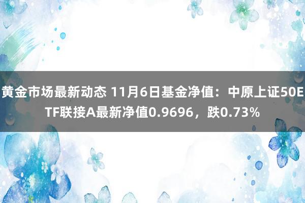 黄金市场最新动态 11月6日基金净值：中原上证50ETF联接A最新净值0.9696，跌0.73%