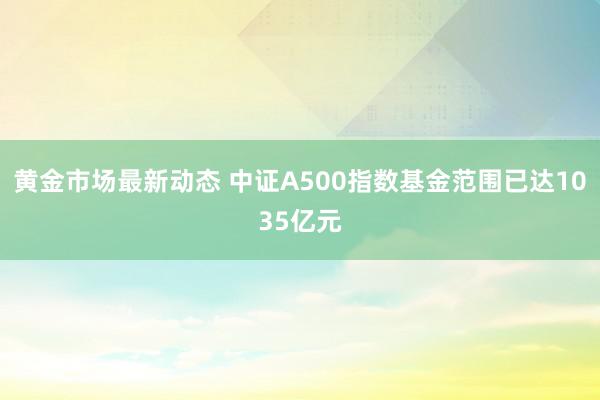 黄金市场最新动态 中证A500指数基金范围已达1035亿元