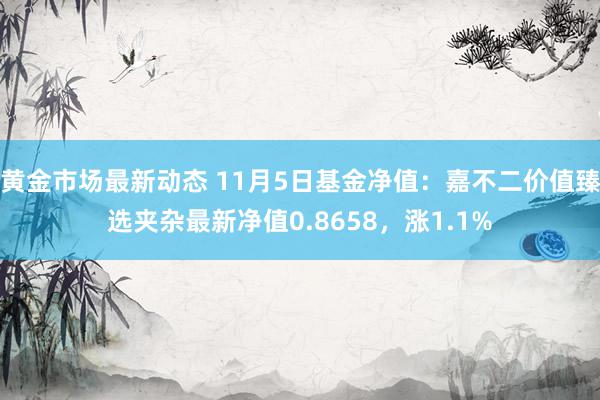 黄金市场最新动态 11月5日基金净值：嘉不二价值臻选夹杂最新净值0.8658，涨1.1%