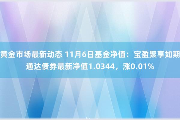 黄金市场最新动态 11月6日基金净值：宝盈聚享如期通达债券最新净值1.0344，涨0.01%