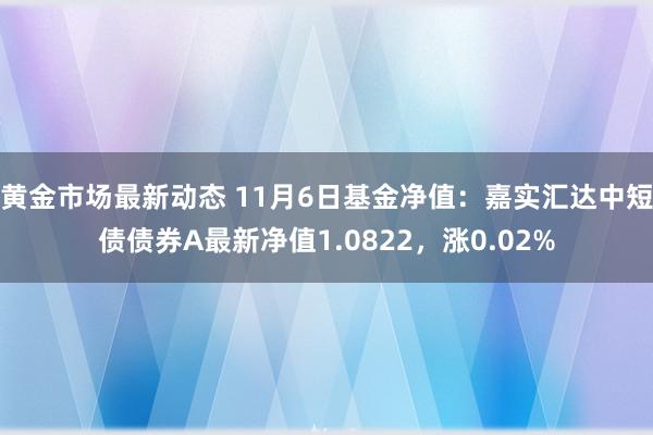 黄金市场最新动态 11月6日基金净值：嘉实汇达中短债债券A最新净值1.0822，涨0.02%