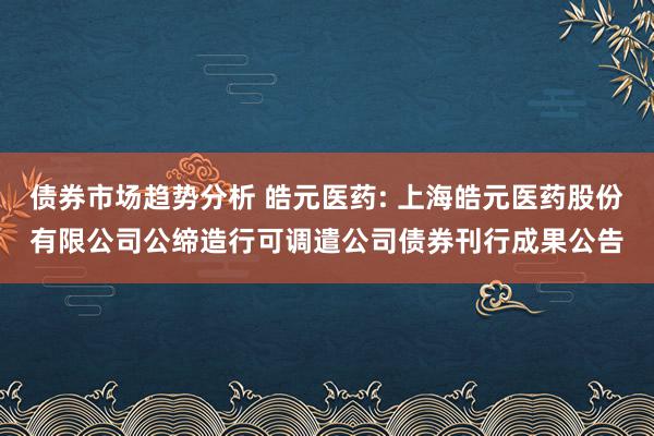 债券市场趋势分析 皓元医药: 上海皓元医药股份有限公司公缔造行可调遣公司债券刊行成果公告