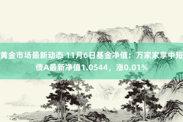 黄金市场最新动态 11月6日基金净值：万家家享中短债A最新净值1.0544，涨0.01%