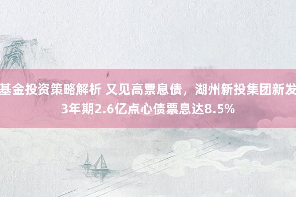 基金投资策略解析 又见高票息债，湖州新投集团新发3年期2.6亿点心债票息达8.5%