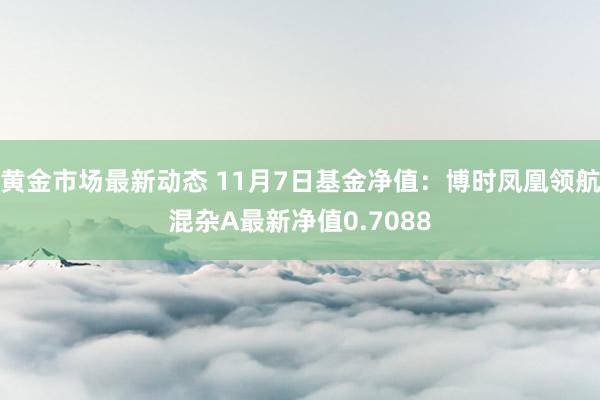 黄金市场最新动态 11月7日基金净值：博时凤凰领航混杂A最新净值0.7088