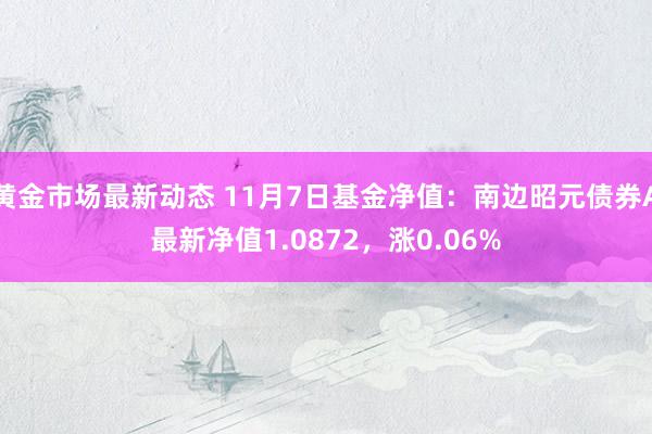 黄金市场最新动态 11月7日基金净值：南边昭元债券A最新净值1.0872，涨0.06%