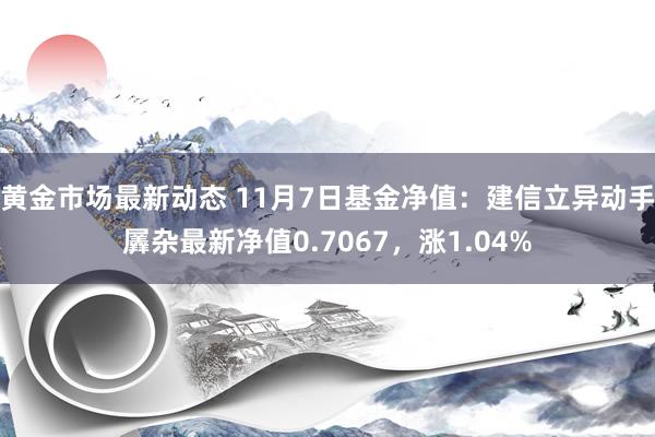 黄金市场最新动态 11月7日基金净值：建信立异动手羼杂最新净值0.7067，涨1.04%